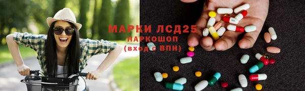 молекула духа Бежецк