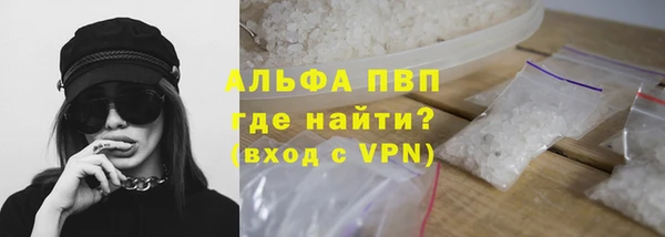 молекула духа Бежецк