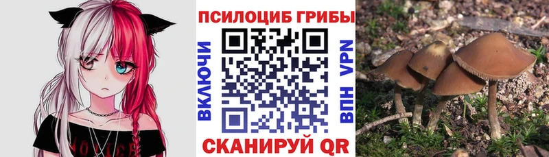 Галлюциногенные грибы MAGIC MUSHROOMS Губкинский